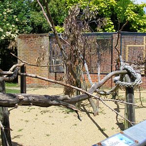Outdoor enclosure for macaws at Birdworld, 20 June 2010