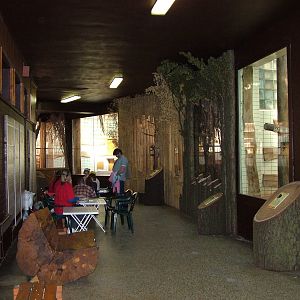 Indian House interior at Ostrava, 29/05/10