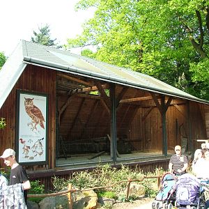 European Eagle Owl exhibit at Ostrava, 29/05/10