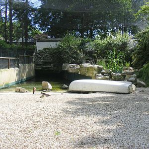 Seashore walk exhibit at Birdworld, 20 June 2010