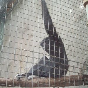 My Dorothy, what long arms you have!