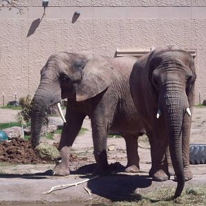 Excuse me girl, I'm on your right!