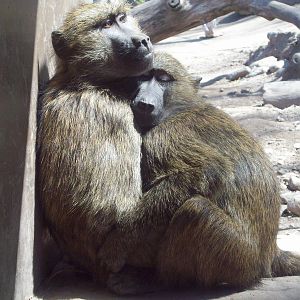 Keep me safe, always!