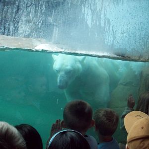 Saying Hello to the Kiddies