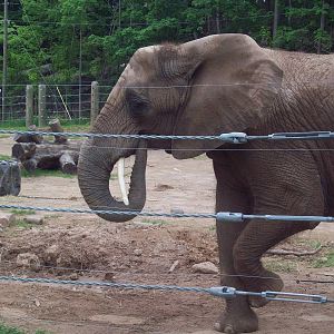 A little candid pose