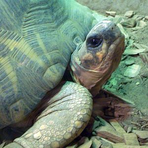 Yes, may I help you?