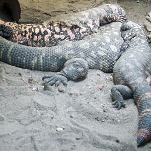 Oh this is the life...