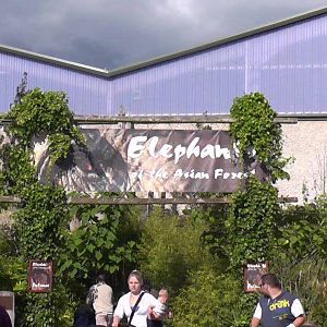 Entrance to Elephant House 19.6.10