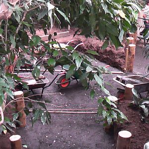 Developments in the Tropical Realm 19.6.10