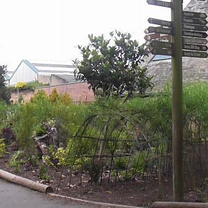 Chimp House and Garden 19.6.10