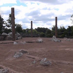 Elephant Paddock Renovation 19.6.10