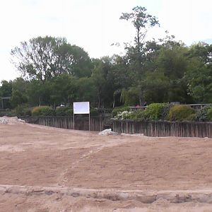 Elephant Paddock Renovation 19.6.10