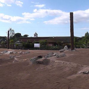 Elephant Paddock Renovation 19.6.10