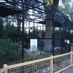Aviaries