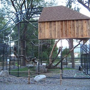 Golden Eagle enclosure