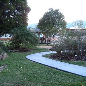 View of Picnic Area