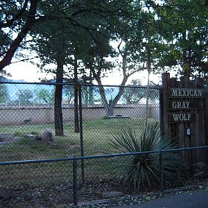 Mexican Wolf Yard