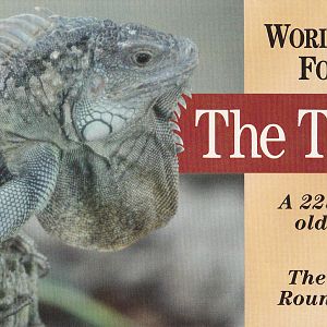 tuatara stamp promotional pamphlet