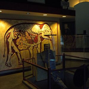 Elephant Museum
