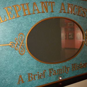 Elephant Museum