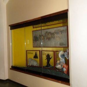 Elephant Museum