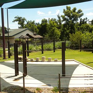 Elephant demonstration yard