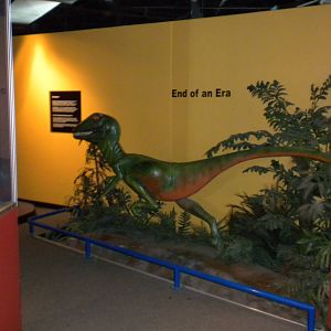 North American Living Museum - Time Gallery
