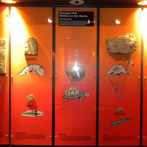 North American Living Museum - Time Gallery