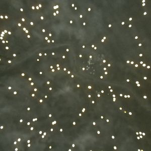 North American Living Museum - Constellations