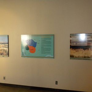 North American Living Museum - Desert Gallery