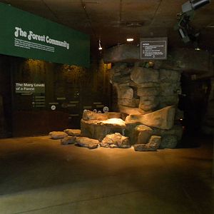 North American Living Museum - Eastern Forest entry