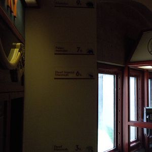 Elephant Museum - ancient elephant heights