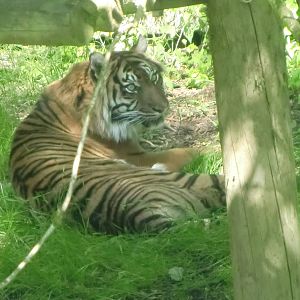 Sarah enjoying the shade