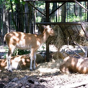 slaski ogrod zoologiczny