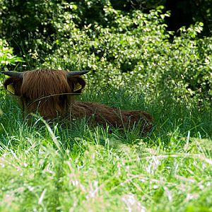 slaski ogrod zoologiczny