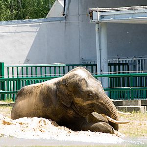 slaski ogrod zoologiczny