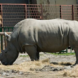 slaski ogrod zoologiczny