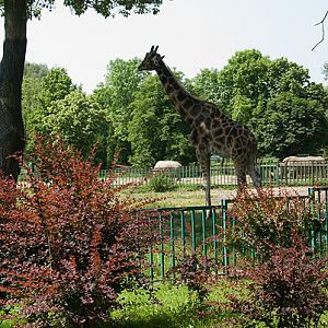 slaski ogrod zoologiczny
