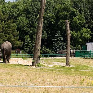slaski ogrod zoologiczny