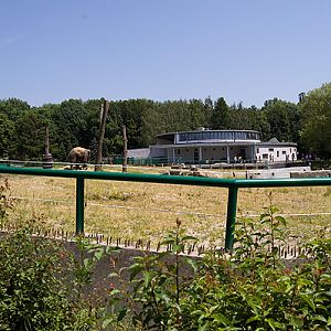 slaski ogrod zoologiczny