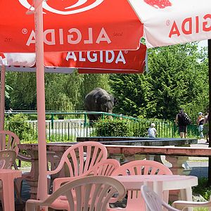 slaski ogrod zoologiczny