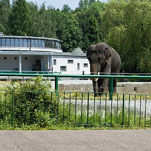 slaski ogrod zoologiczny