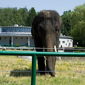 slaski ogrod zoologiczny