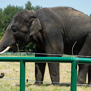 slaski ogrod zoologiczny