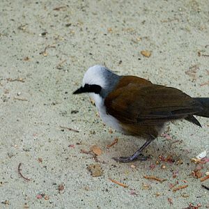 slaski ogrod zoologiczny