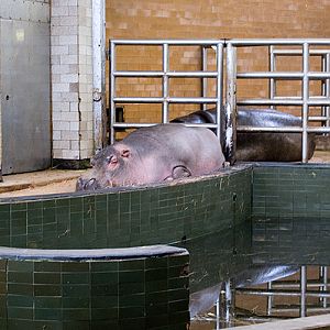 slaski ogrod zoologiczny