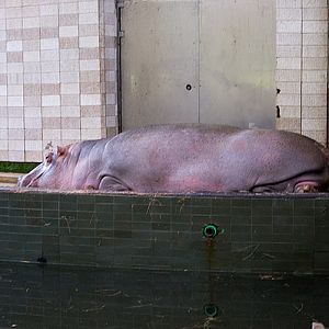 slaski ogrod zoologiczny