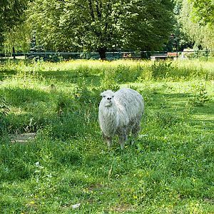 slaski ogrod zoologiczny