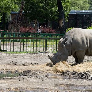 slaski ogrod zoologiczny