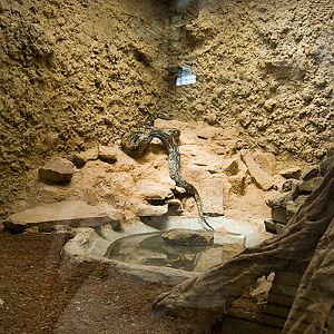 slaski ogrod zoologiczny